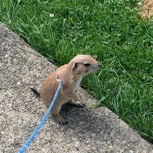 Meet your Posher, Adrianne